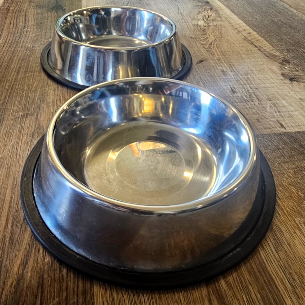 2 stainless steel dog bowls